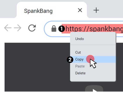 簡単なステップでSpankBang動画をダウンロードできるBest 5 SpankBang Downloader
