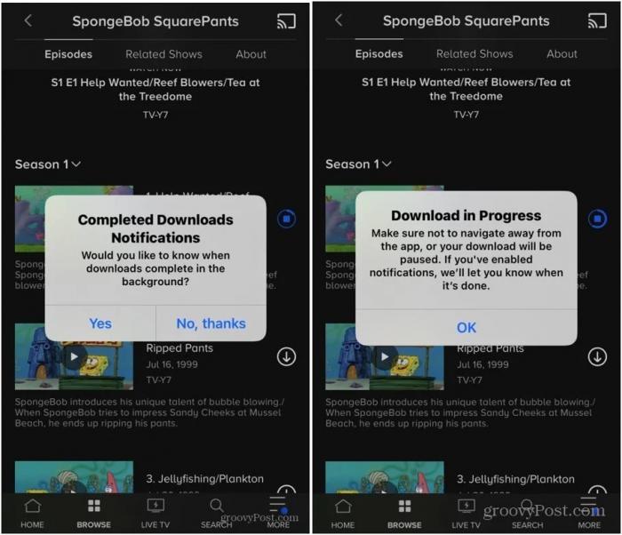 Plus Show with Official App