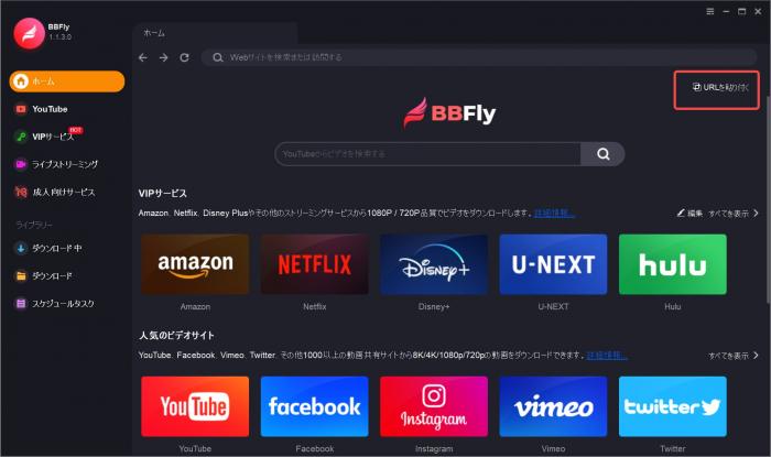 BBFly Sokmil Downloader Paste URL input field on main screen