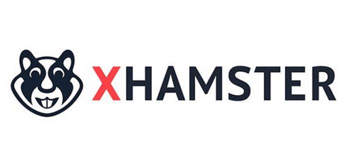 Best xHamster Downloader Review
