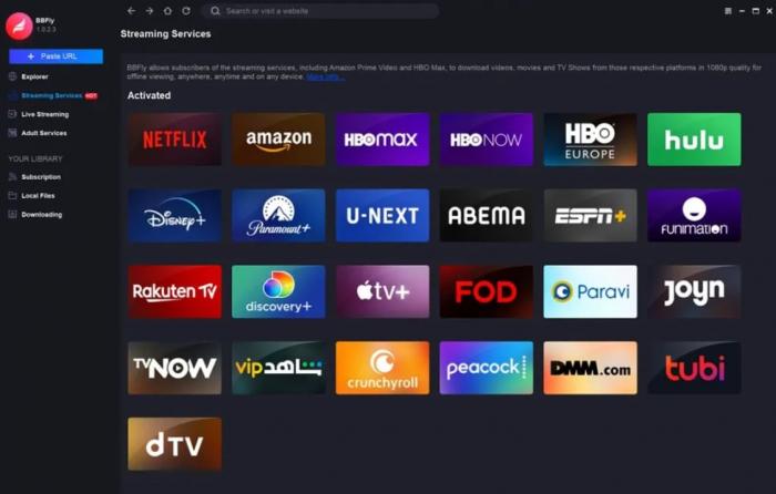 How to Download RTVE.es Videos in Easy Steps