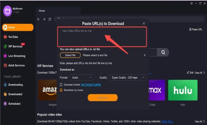 Best 5 SpankBang Downloader to Download SpankBang Videos in Easy Steps