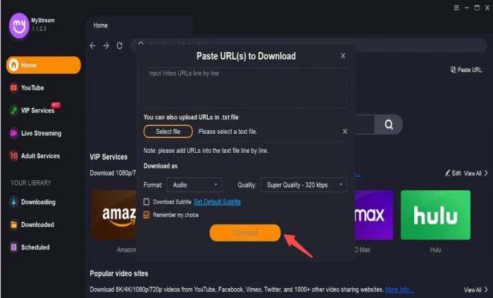 Best 5 SpankBang Downloader to Download SpankBang Videos in Easy Steps