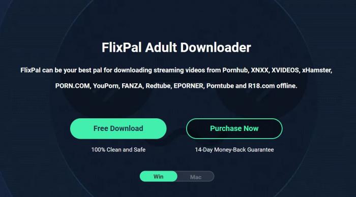 Best 5 SpankBang Downloader to Download SpankBang Videos in Easy Steps