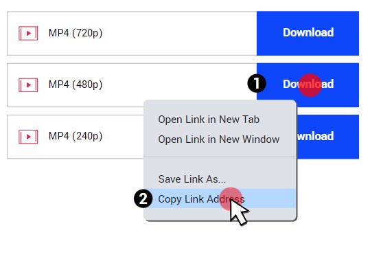 Best 5 SpankBang Downloader to Download SpankBang Videos in Easy Steps