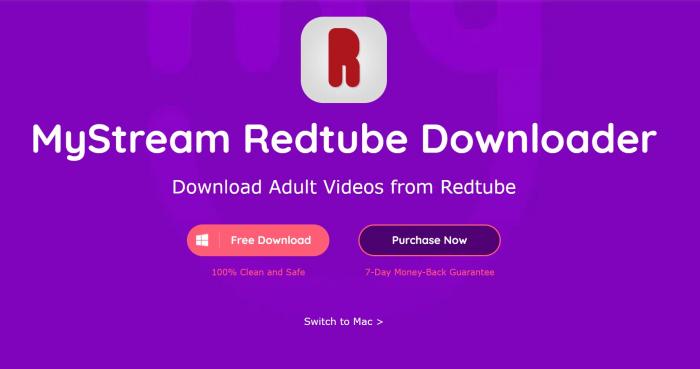 Redtube Downloader Review: How to Download Redtube Videos with Redtube Downloader