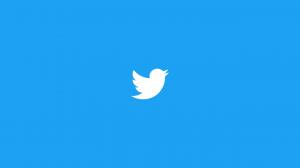 2022] Summary of Twitter Erotic Video Site, Preservation of Twitter Erotic Video