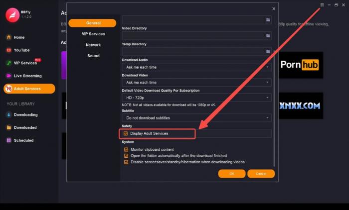BBFly PORN.COM Downloader