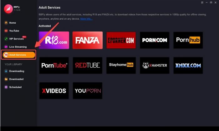 BBFly PORN.COM Downloader