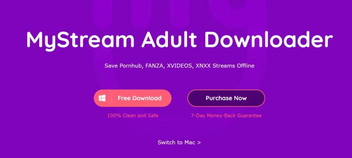 MyStream YouJizz downloader