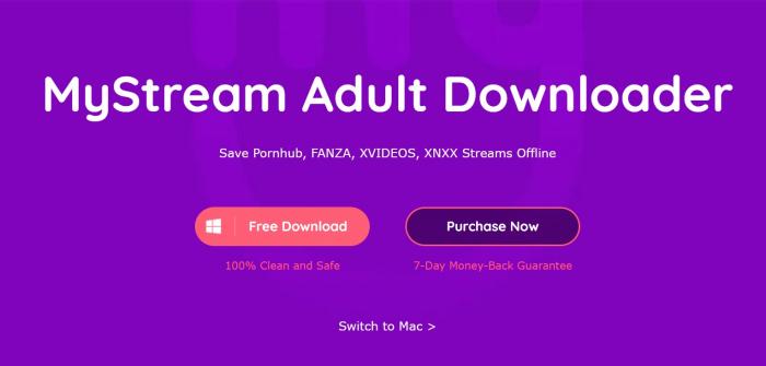 MyStream Hentai Haven Downloader