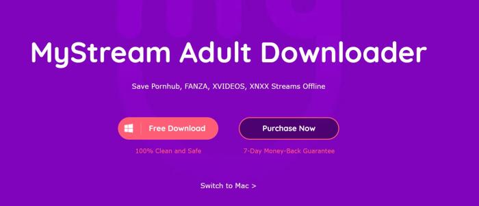 MyStream Downloader