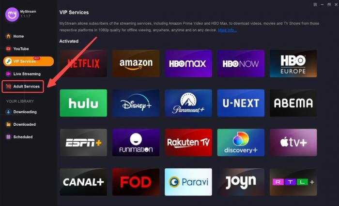 MyStream EPORNER Downloader