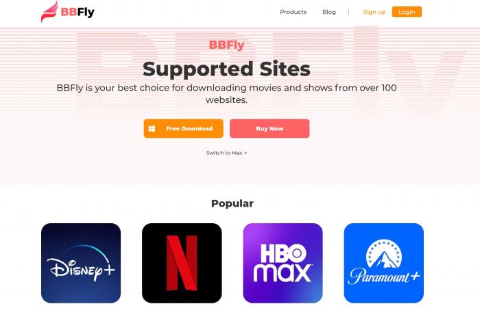 BBFly Thumbzilla downloader