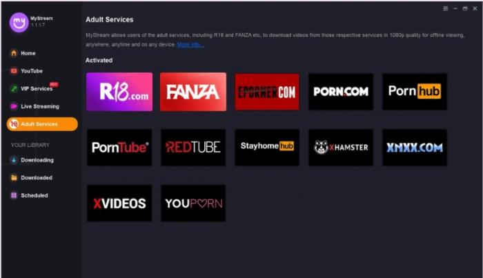 MyStream Porntube downloader