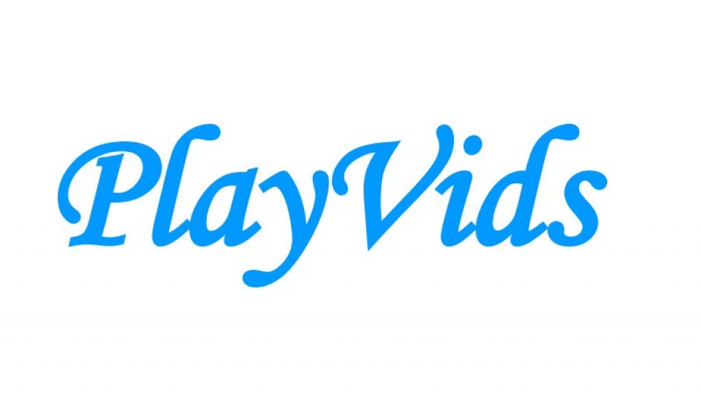 Zuverlässige PlayVids Downloader Überprüfung