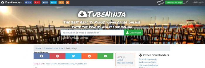 TubeNinja