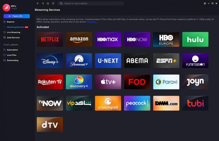 Interface du téléchargeur BBFly Netflix choisissant un titre Netflix à télécharger en MP4 pour une utilisation hors ligne
