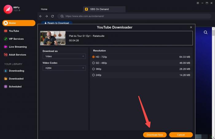 Download Now button