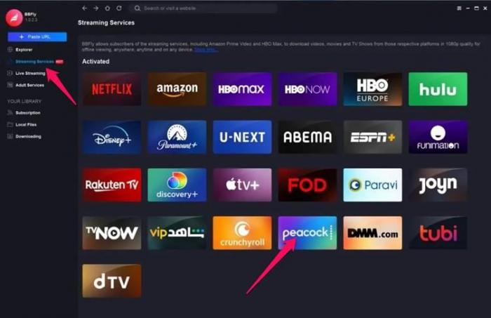 BBFly Downloader - Peacock TV