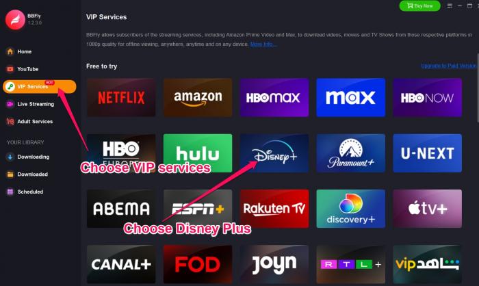 Escolha o Disney Plus