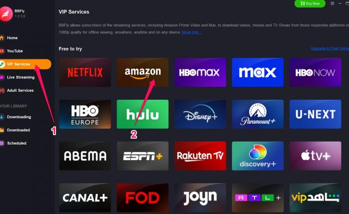 Elija Video Amazon Prime