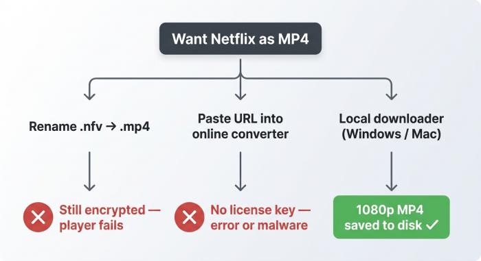 Why renaming .nfv files fails: decision flowchart showing encryption, converter limitations,