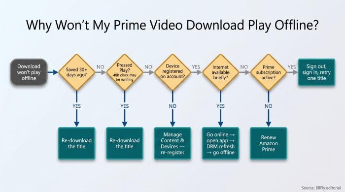 Diagnostic flowchart for troubleshooting offline Prime Video playback issues