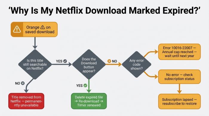 Why Netflix downloads show expired: diagnose by checking if title is searchable, then delete